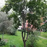 Amber Apartamentai * Druskininkai