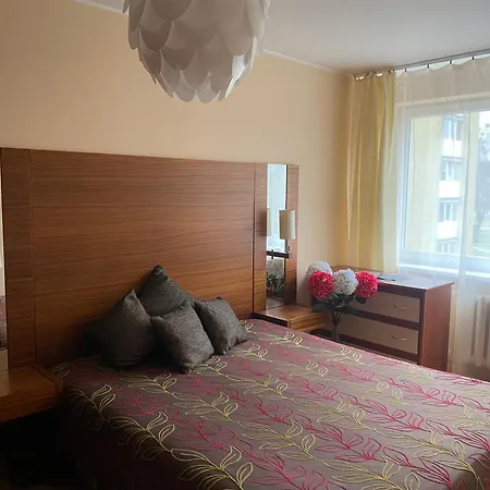 Amber Apartamentai * Druskieniki
