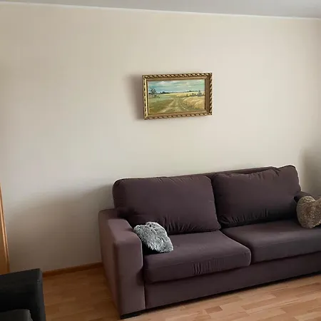 Amber Apartamentai Druskieniki