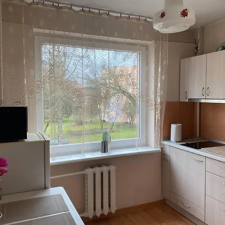 Amber Apartamentai Druskieniki