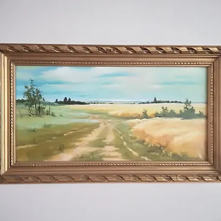 Amber Apartamentai * Druskieniki