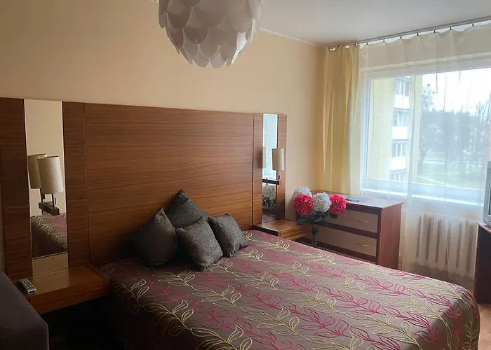 Amber Apartamentai * Druskieniki