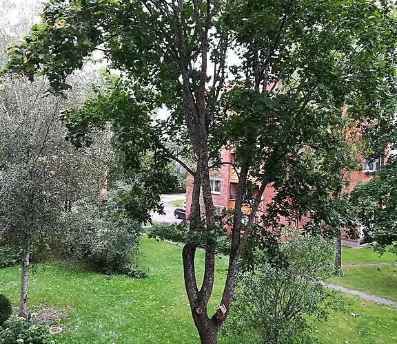 Amber Apartamentai * Druskieniki