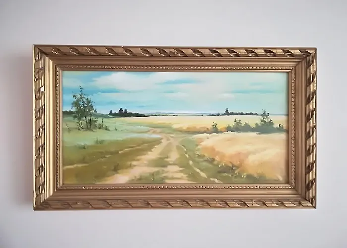 Amber Apartamentai * Druskieniki